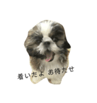 ニャンとも謝りたい時 お願いしたい時（個別スタンプ：8）