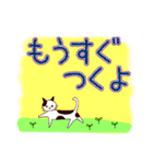 癒しニャンコのデカ文字スタンプ（個別スタンプ：29）