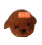 幸福日和～めめ～羊毛スタンプ（個別スタンプ：1）
