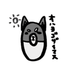 黒柴クロちゃん（個別スタンプ：1）