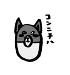黒柴クロちゃん（個別スタンプ：2）