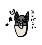 黒柴クロちゃん（個別スタンプ：3）
