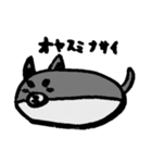 黒柴クロちゃん（個別スタンプ：4）