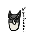 黒柴クロちゃん（個別スタンプ：5）