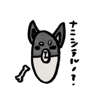 黒柴クロちゃん（個別スタンプ：7）
