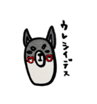 黒柴クロちゃん（個別スタンプ：8）