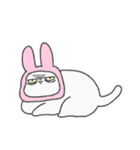 可愛いうさぎねこ（個別スタンプ：7）