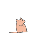 可愛いうさぎねこ（個別スタンプ：40）