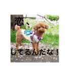 らてお（個別スタンプ：5）