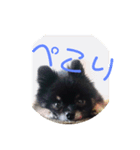 可愛い仔犬です（個別スタンプ：2）