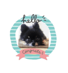 可愛い仔犬（個別スタンプ：2）