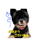 可愛い仔犬（個別スタンプ：5）