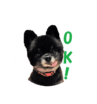 可愛い仔犬（個別スタンプ：8）