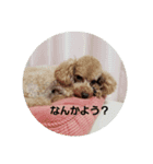 龍之介とシェリー（個別スタンプ：15）