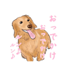 わんだふるLife2（個別スタンプ：4）