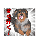 わんだふるLife2（個別スタンプ：5）