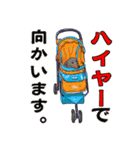 わんだふるLife2（個別スタンプ：8）