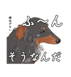 わんだふるLife2（個別スタンプ：10）
