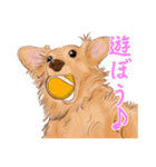 わんだふるLife2（個別スタンプ：12）