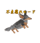 わんだふるLife2（個別スタンプ：15）