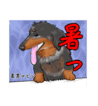 わんだふるLife2（個別スタンプ：16）