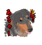 わんだふるLife2（個別スタンプ：18）