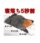 わんだふるLife2（個別スタンプ：21）