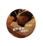 かいとで〜す♡（個別スタンプ：2）