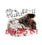 かいとで〜す♡（個別スタンプ：23）