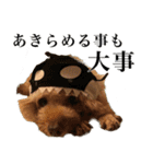 愛犬PURI（個別スタンプ：14）