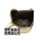 くうちゃんかわいいスタンプ（個別スタンプ：4）