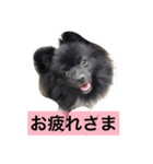 くうちゃんかわいいスタンプ（個別スタンプ：5）