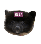 くうちゃんかわいいスタンプ（個別スタンプ：6）