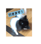 くうちゃんかわいいスタンプ（個別スタンプ：8）