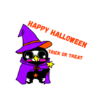 ブラックポンちゃんよく使う言葉（個別スタンプ：6）
