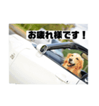 あくまくんと仲間達！（個別スタンプ：1）