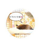 デグーの気持ちスタンプ（個別スタンプ：2）