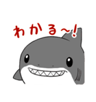 かわいいサメ達のスタンプ2（個別スタンプ：1）