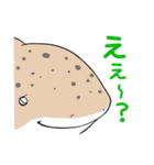 かわいいサメ達のスタンプ2（個別スタンプ：6）