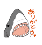 かわいいサメ達のスタンプ2（個別スタンプ：10）