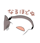 かわいいサメ達のスタンプ2（個別スタンプ：13）
