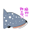 かわいいサメ達のスタンプ2（個別スタンプ：14）