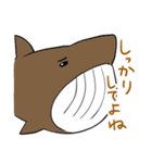 かわいいサメ達のスタンプ2（個別スタンプ：23）
