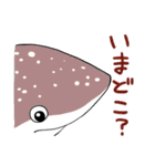 かわいいサメ達のスタンプ2（個別スタンプ：24）
