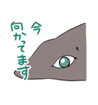 かわいいサメ達のスタンプ2（個別スタンプ：25）