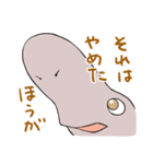 かわいいサメ達のスタンプ2（個別スタンプ：31）