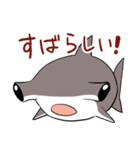 かわいいサメ達のスタンプ2（個別スタンプ：32）