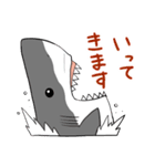 かわいいサメ達のスタンプ2（個別スタンプ：39）