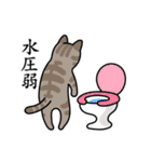 猫とトイレ事情（個別スタンプ：3）