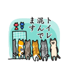 猫とトイレ事情（個別スタンプ：8）